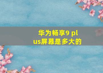 华为畅享9 plus屏幕是多大的